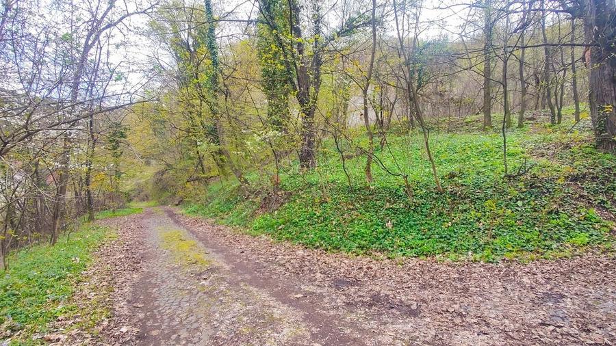 Teren Intravilan Centrul Civic - 12