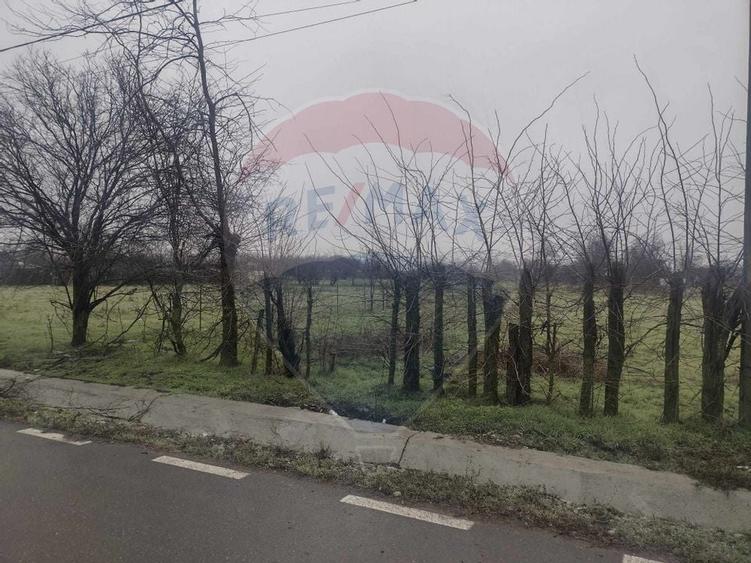 De vanzare teren intravilan la pret excelent Ialomita - 4