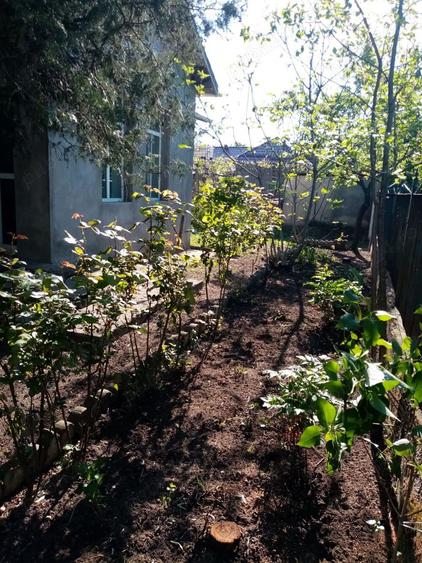 Casa de vanzare schimb Corabia , langa Dunare - 1