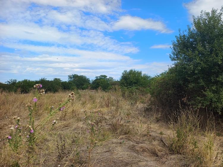 Teren Intravilan de vanzare-Sector 5 Bucuresti - 3