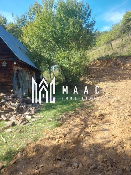 Super ofertă 35000 teren in Muntii Apuseni - 24