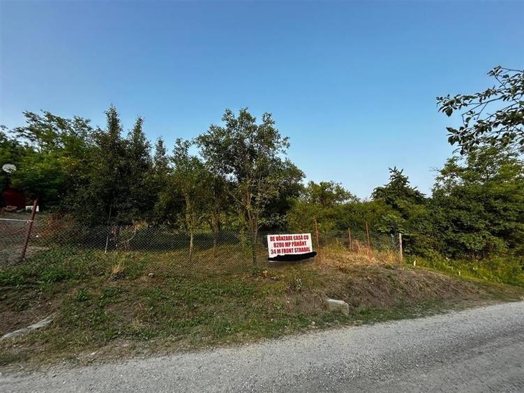 RECO Terenuri intravilane+ Teren Extravilan 8200 mp, Cartier Podgoria - 9