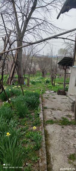 casa in Sprancenata - 5