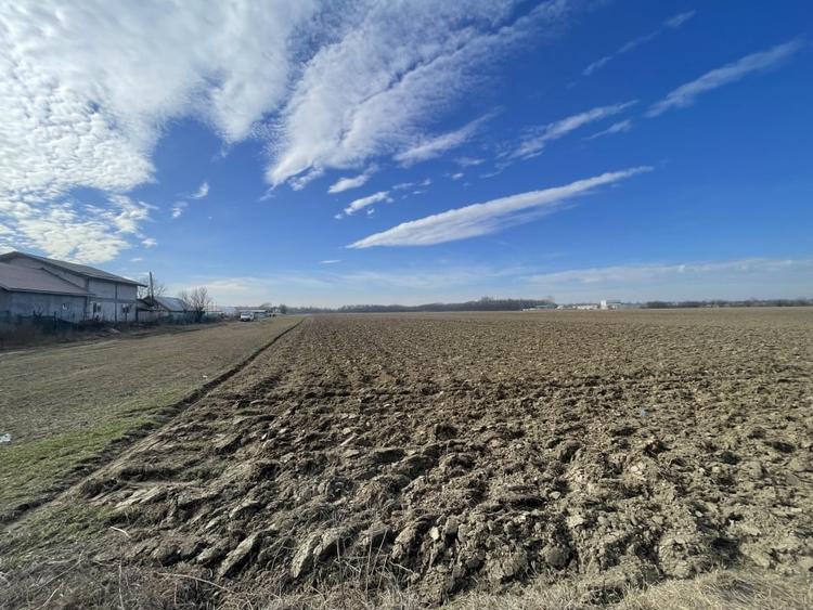 Domnesti, Teghes, teren in suprafata de 21278mp, deschidere 41ml, gaz si curent. - 7