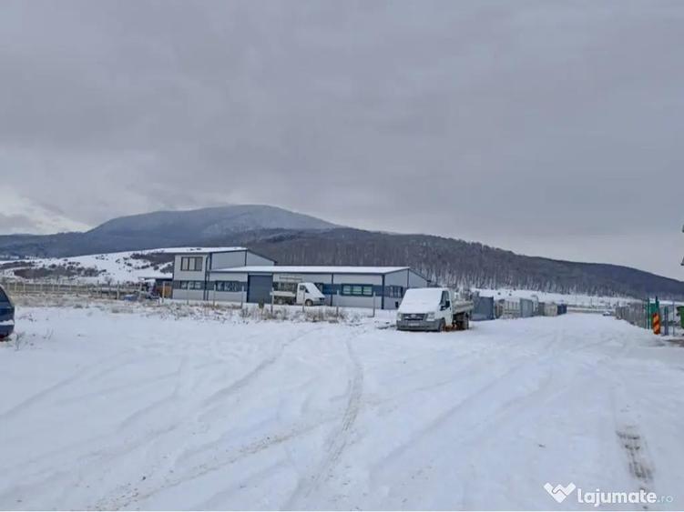 VANZARE Teren Industrial Codlea - PUZ Hale/Service 1850mp - 7