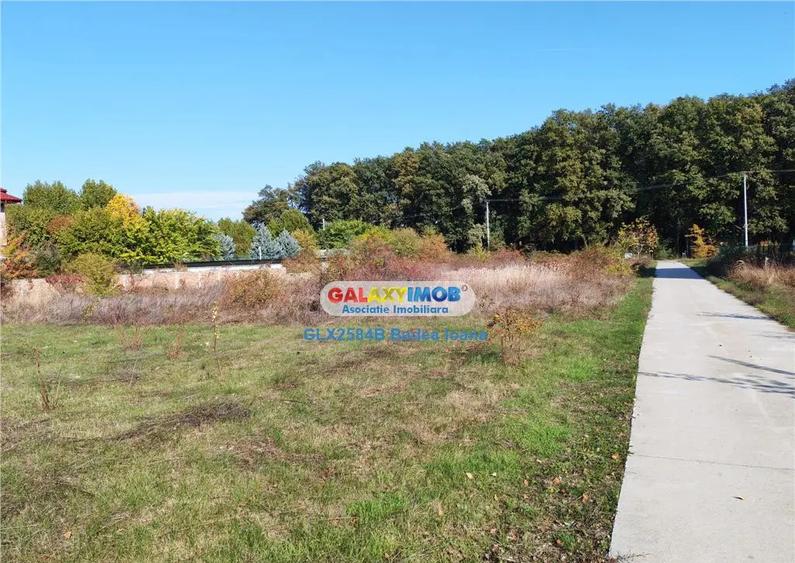 Teren intravilan 471 mp - str Timpului - Corbeanca - 8