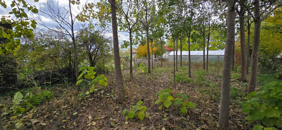 Teren  715  mp  intravilan Petresti - 9