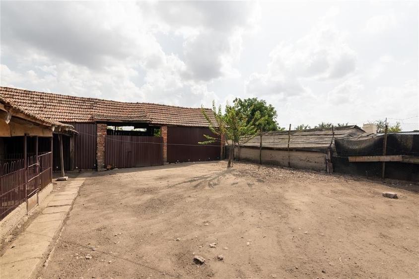 Teren mare cu 2 case si front la 2 strazi in Tamaseu - 26