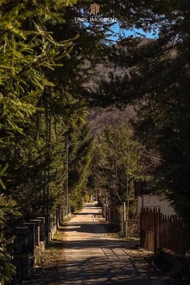 Terenuri la marginea padurii Poiana Marului, zona superba | Com 0% - 9