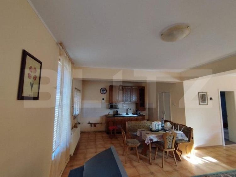 Casa individuala 4 camere plus casa de oaspeti, Drajna - 5