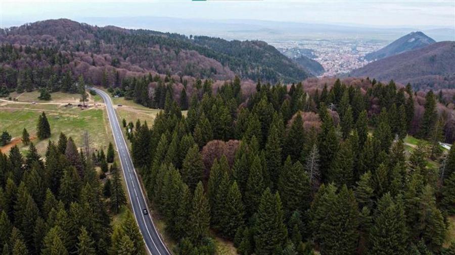 Teren cu potential:1.000 mp,proiect turistic/rezidential,Poiana Brasov - 15