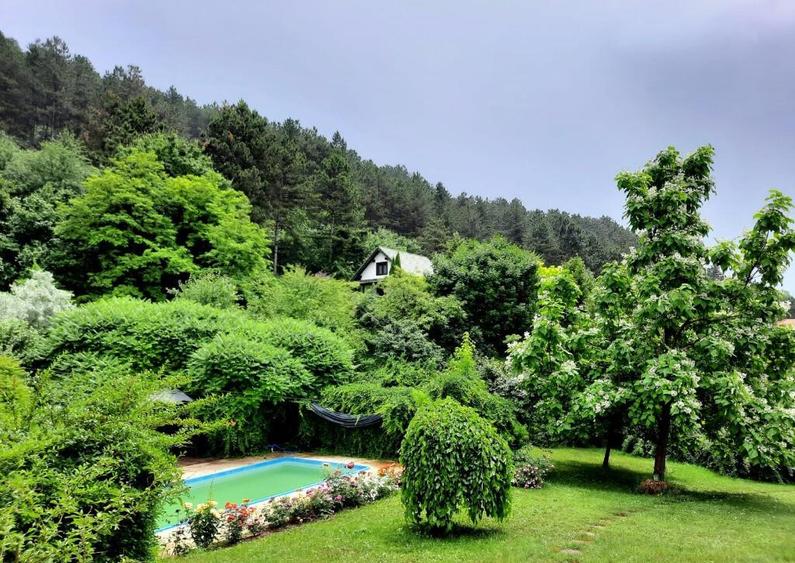 Casa individuala de lux cu piscina si teren de 4.400mp in zona VIVO - 3