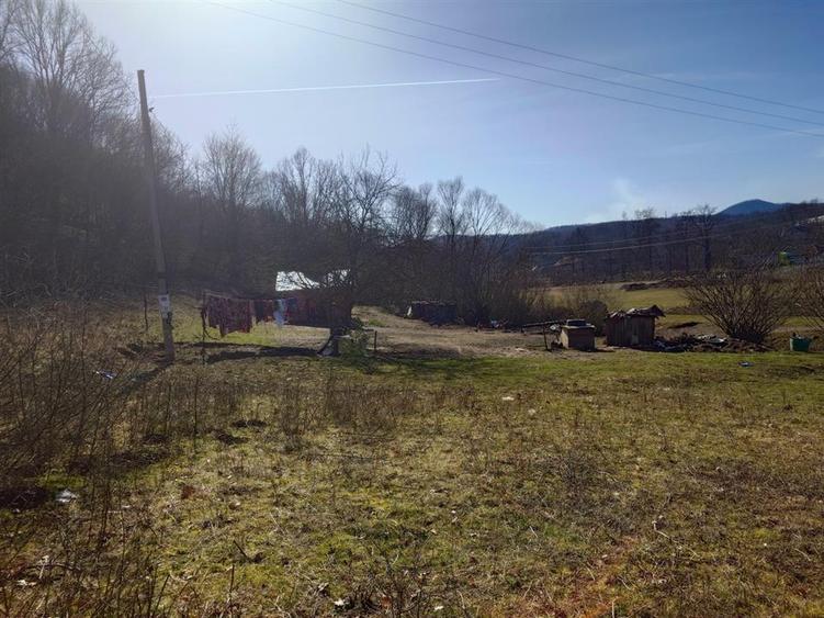 Teren intravilan la liziera padurii - 6