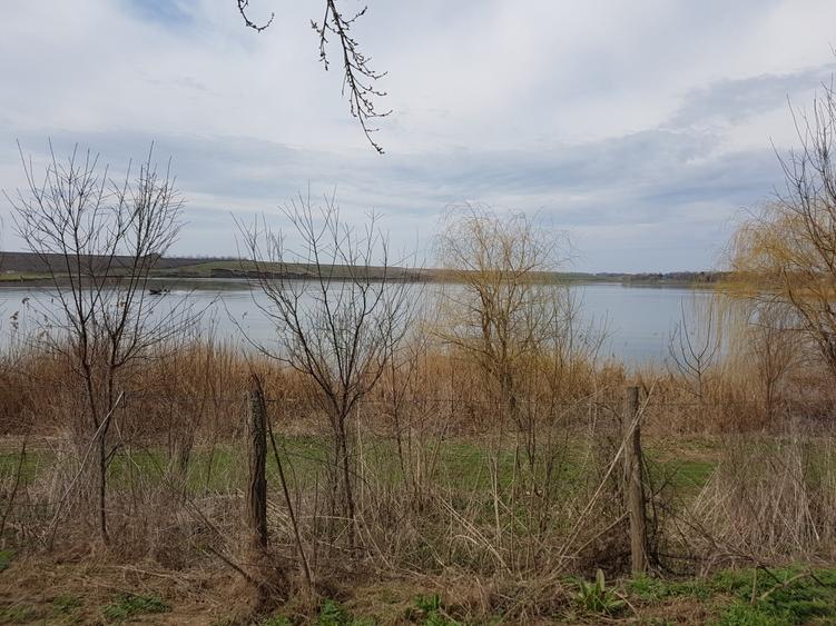 Sarulesti | Teren la lac | Utilitati | Proprietar - 1