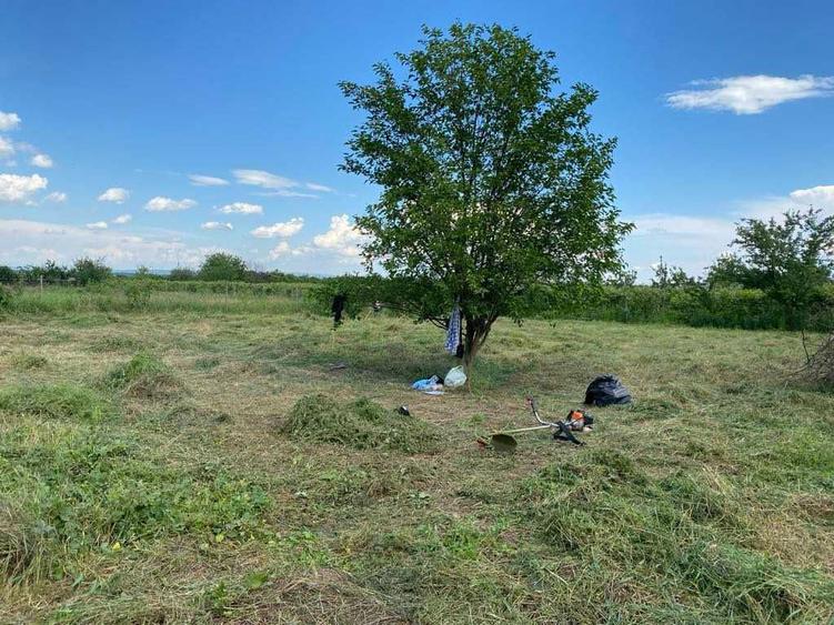 Teren intravilan Margineni-Hemeiusi 33m deschidere - 2