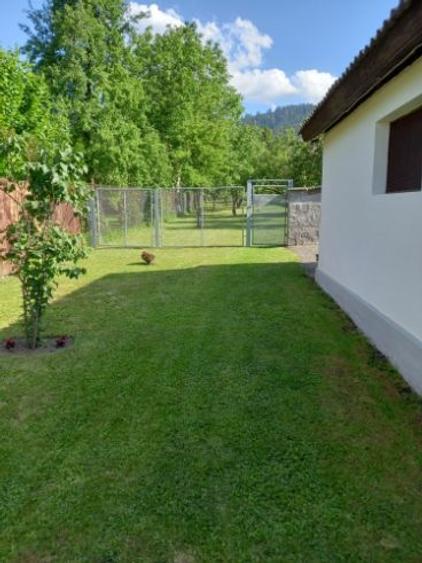 Casă cu 5 camere în Cernatu - 8