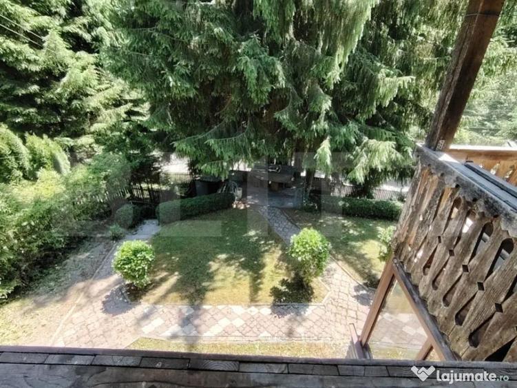 Cabana 5 camere Salard - 8