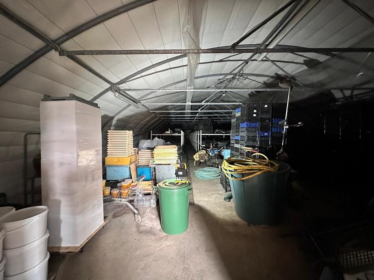 Hala/ cort ciupercarie, crestere pui, 400mp, Dumesti - 10