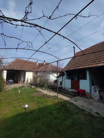 Casa de vacanta de vanzare in Cosdeni - 5