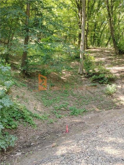 Teren intravilan zona Monteoru - 1