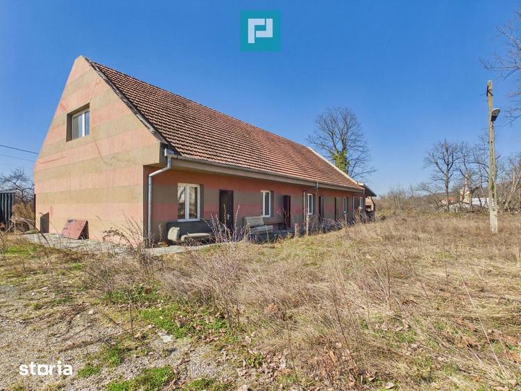 Casa cu 8 camere pentru investi?ii in Maciova CS - 5