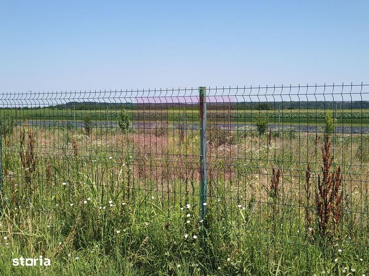 Teren de 582 mp, în Oinacu