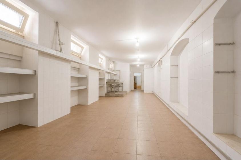 Spațiu comercial, de 169 mp, în Boul Roșu