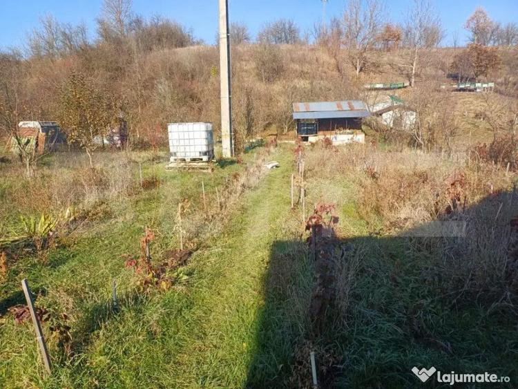 Casa + 20 arii teren, distanta 30 km de Bistrita - 3
