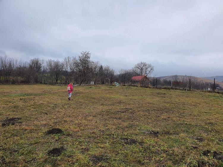 Teren de 11300 mp, în Runcu