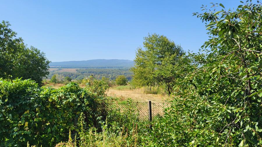Casă de vânzare în mediul rural – liniște, natură și confort - 17