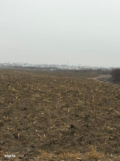 Vand Teren Hemeiusi sat Liliecipe strada prelungirea crinului - 10