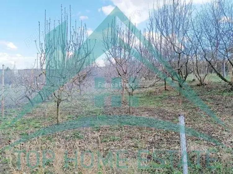 Teren intravilan de vanzare, in satul Pata!