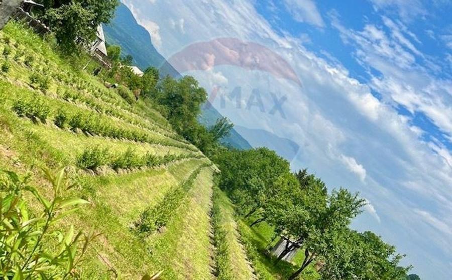 Teren intravilan 6.900mp BREB MARAMURES - 2