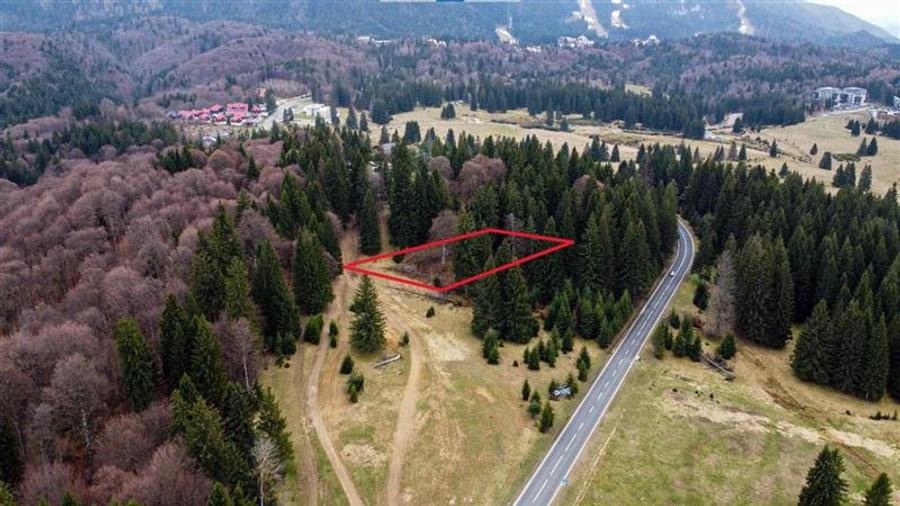 Teren cu potential:1.000 mp,proiect turistic/rezidential,Poiana Brasov - 1