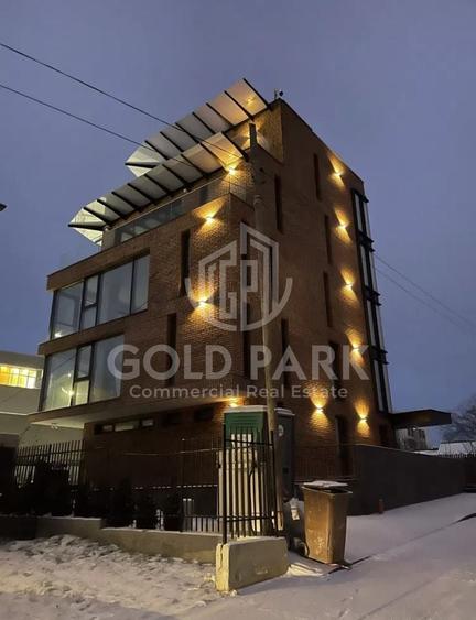 Spatiu de Birouri/Cladire de Birouri-Zona Europa-Garaj/Parcari/Curte - 14