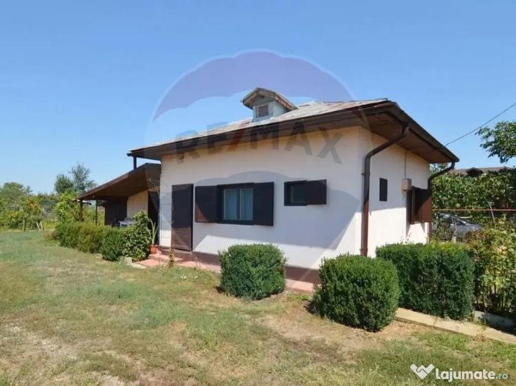 Teren 1944 mp + Casa - 65 mp, Darasti-Vlasca Giurgiu/ 20 ... - 8