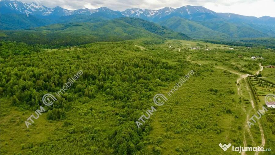 Teren extravilan 2000 mp in Porumbacu de Sus din Sibiu - 1
