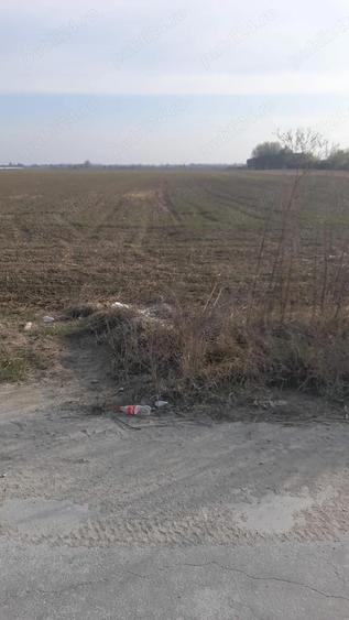 Teren Bolintin Vale - 1