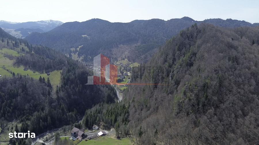 Teren de 29595 mp, în Moieciu