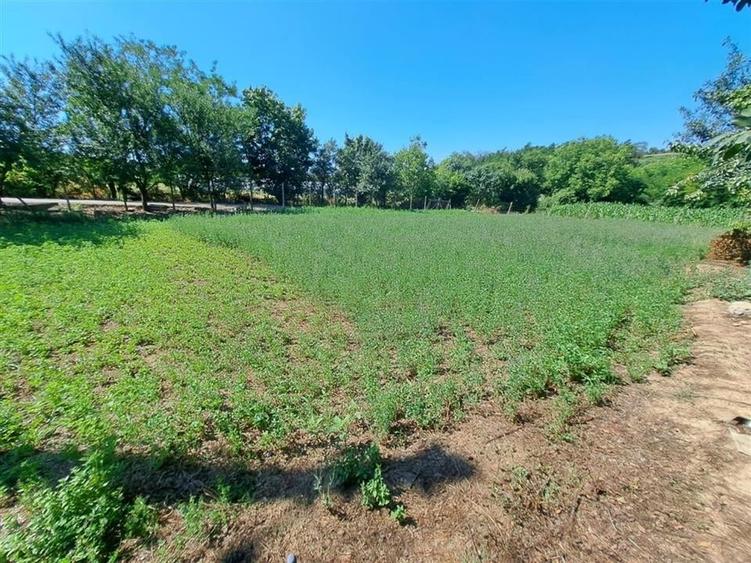 RECO casa dubla Cadea - 21