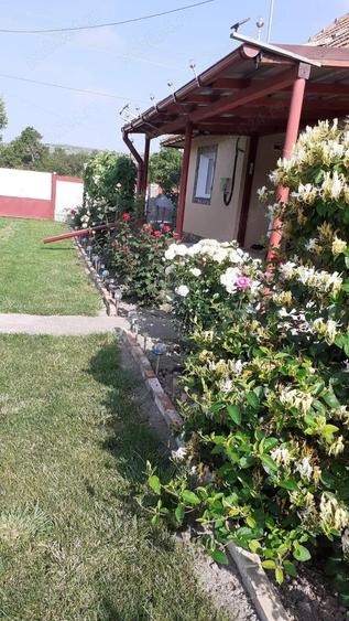 Vand casa in comuna Chinteni sat Feiurdeni - 2