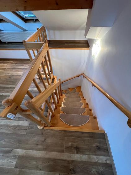 Vila unica in Bunloc - 13