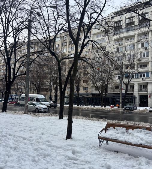 Piata ALBA IULIA,stradal pe DECEBAL in proximitatea Bulevardului UNIRII,MONOLIT - 4