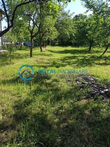 Royal Imobiliare - Vanzare Teren zona Paulesti - 3