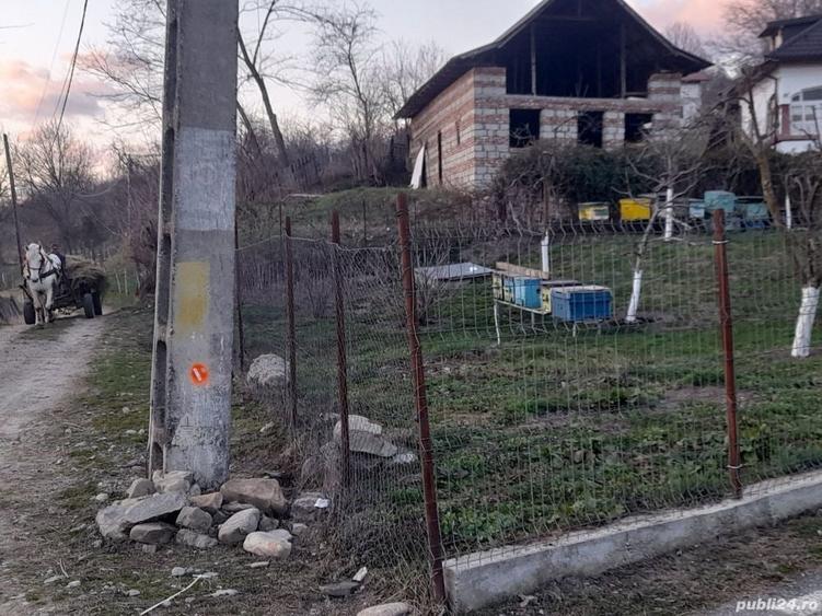 Vand constructie in zona montana ,Corbi ,jud Ag.Facilitati,apa curent ,gaze naturale ,asfalt la poar - 5