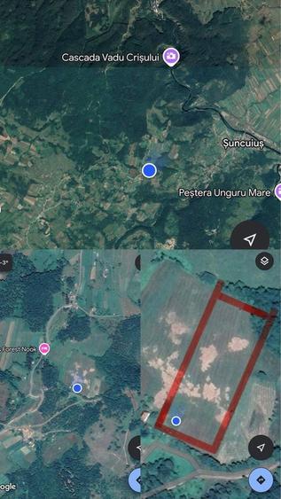 Teren de vanzare 10 000 mp - 8