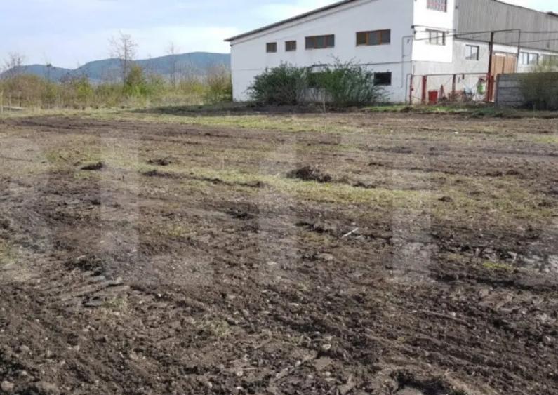 Teren Intravilan hala, 65 ari, zona Sieu Magherus - 5