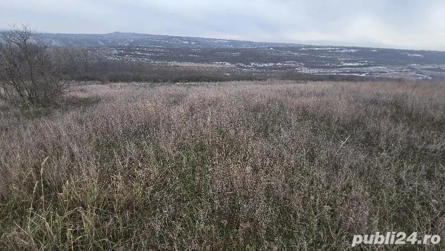 Teren si Casa 4.021 mp in comuna Goie?ti - 5