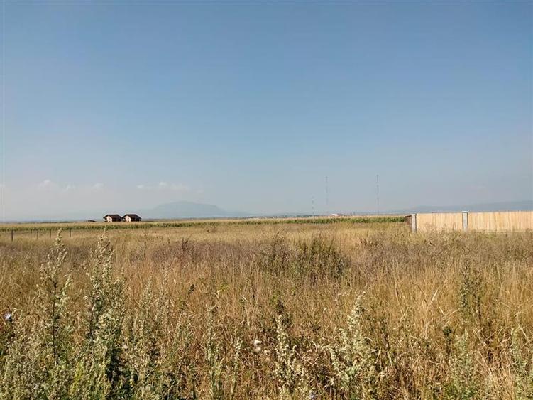 Teren intravilan la intrare in Bod dinspre Sanpetru - 5