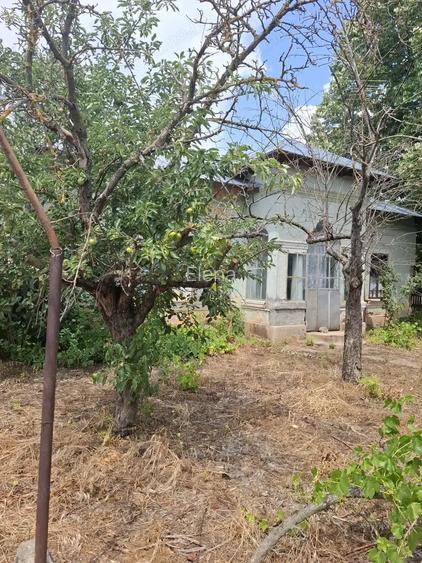Casa cu teren 4000 mp de vanzare in Studinita aproape de Caracal
